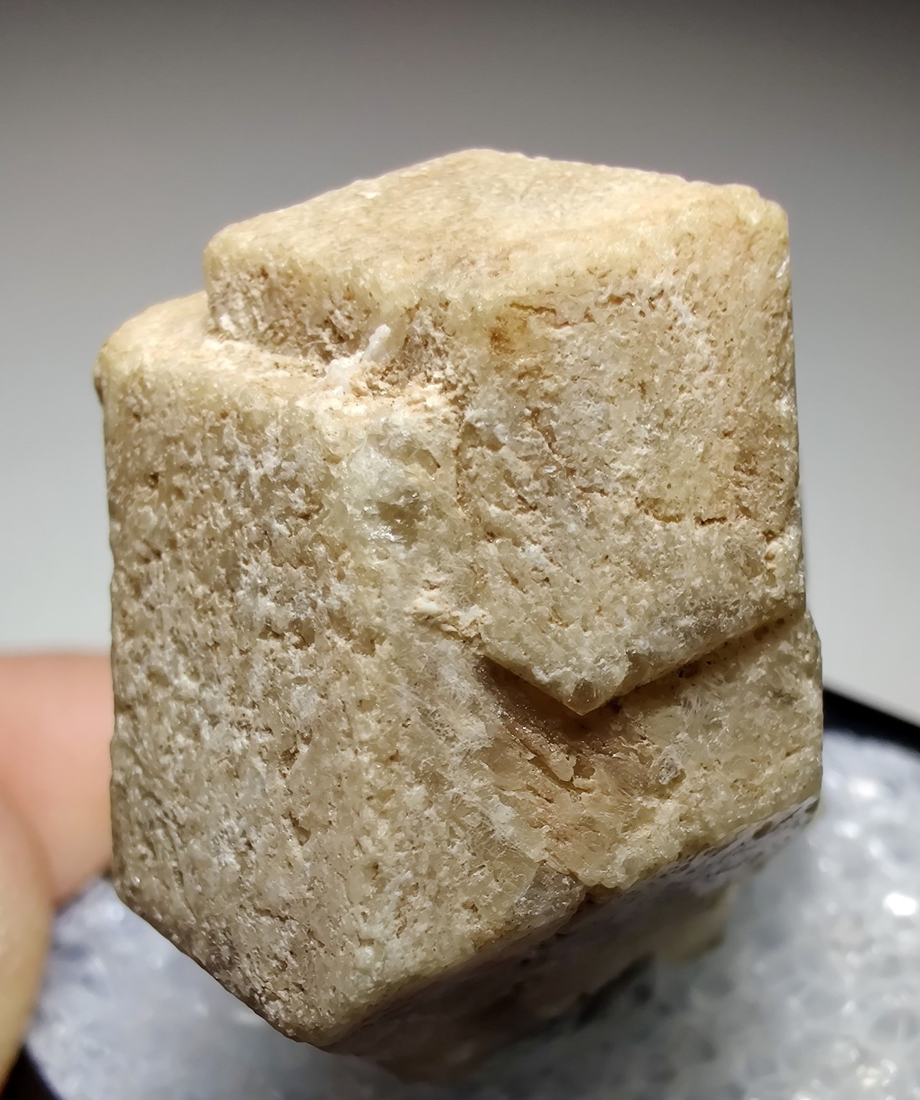 Grossular Garnet crystal, twinned. Sierra de Cruces, Coahulia, Mexico. 3 cm.