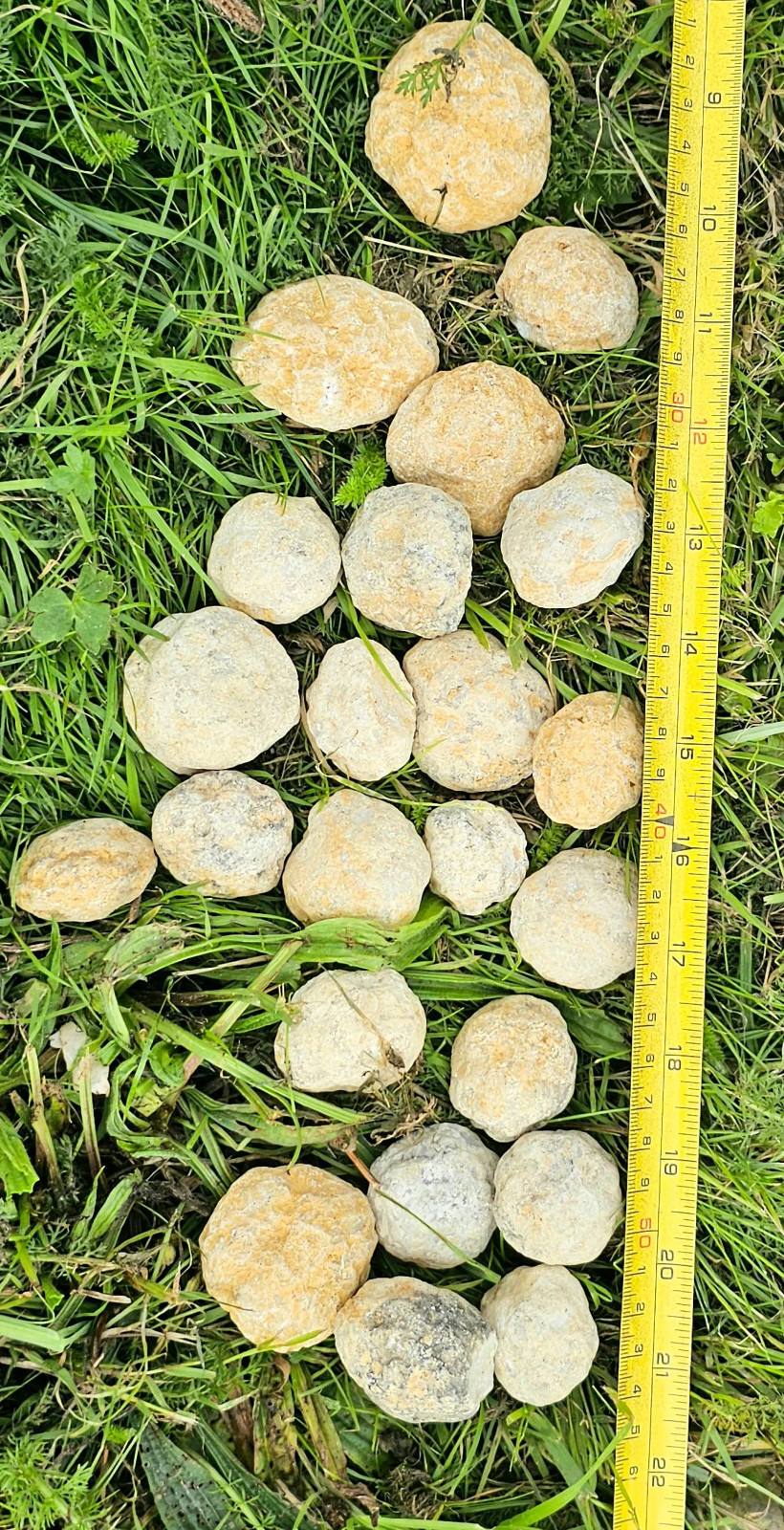 Quartz Geodes – Break Your Own Geode – Unbroken Quartz Crystal