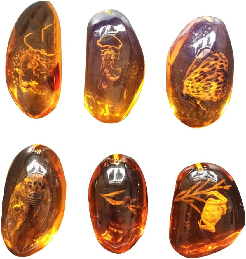 5Pcs Amber Fossil with Insects Samples Stones Crystal Specimens Home Dec