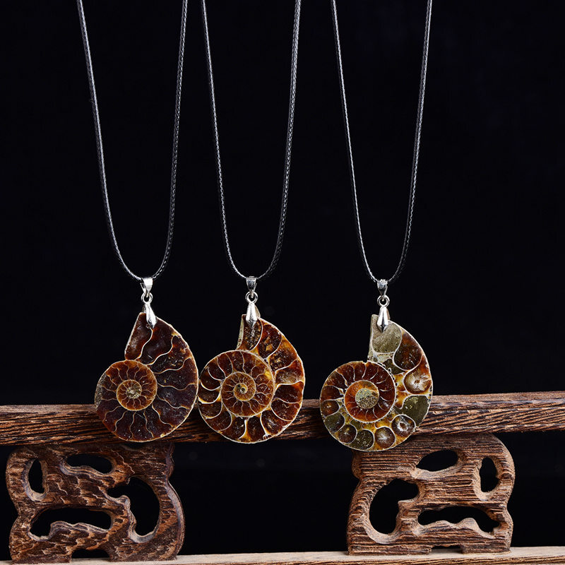 10Pcs Natural Quartz Conch Fossil Shell Crystal Pendant Unisex Necklace Decor