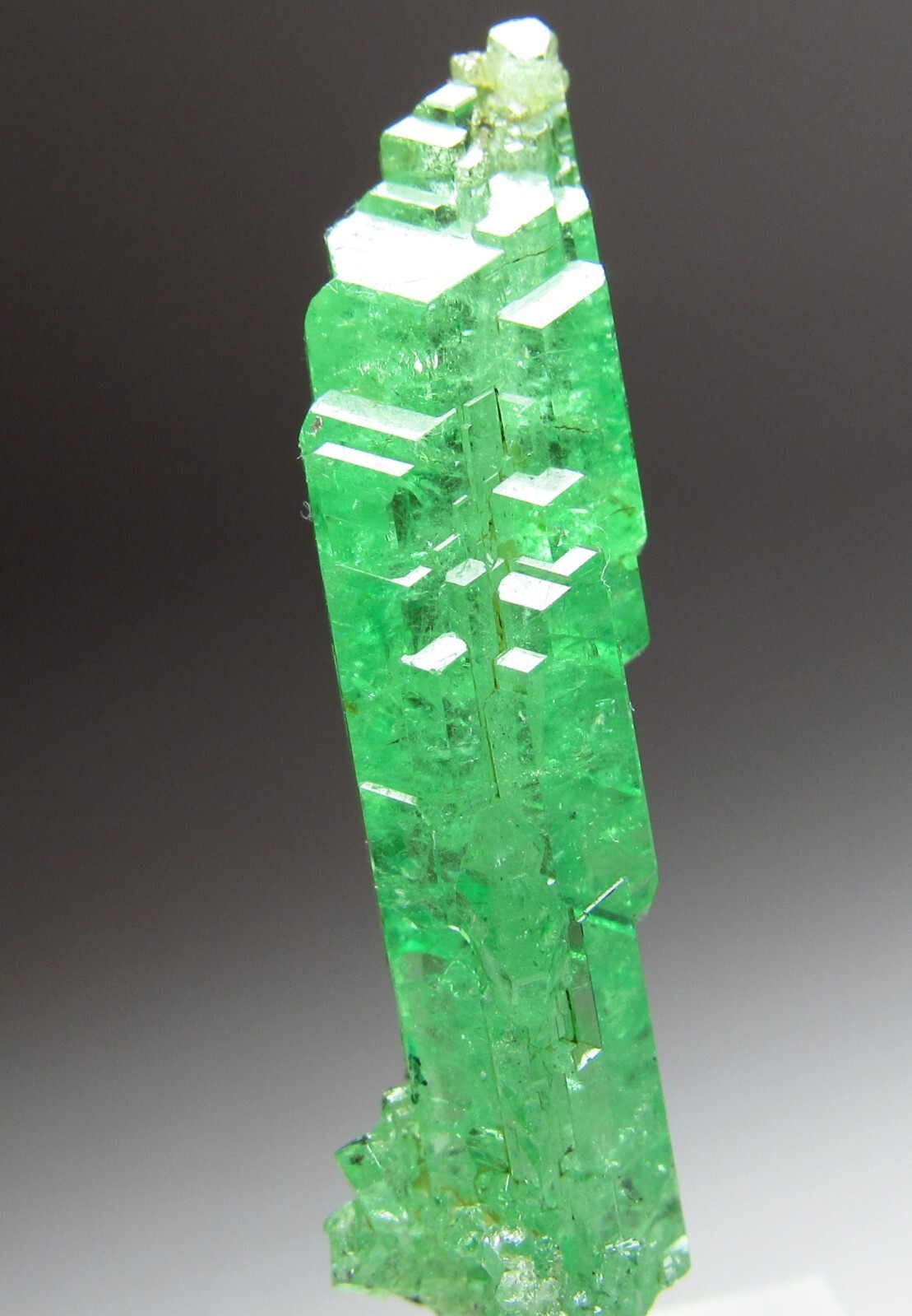 UNSURPASSED ELITE LIGHTNING BOLT TSAVORITE GROSSULAR GARNET CRYSTAL!!! TANZANIA