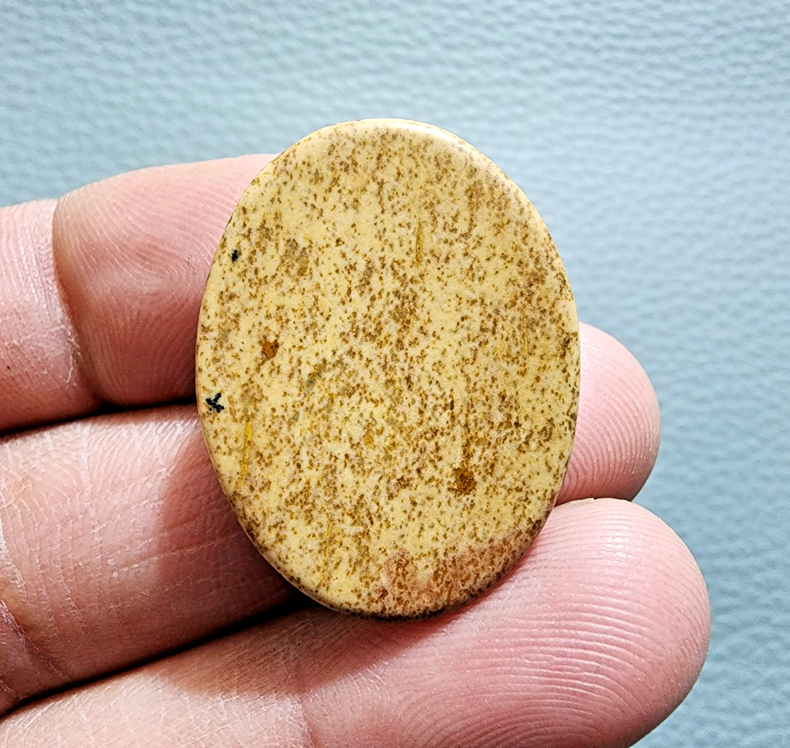 Natural 33.30ct Picture Jasper Oval Cabochon Gemstone – Rare Unique Jewelry Gem