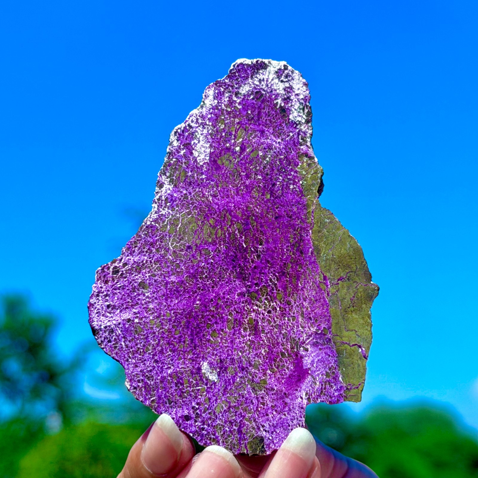 48G Namibia Natural Metallic Purple Purpurite Crystal Slice Extra Large Gem