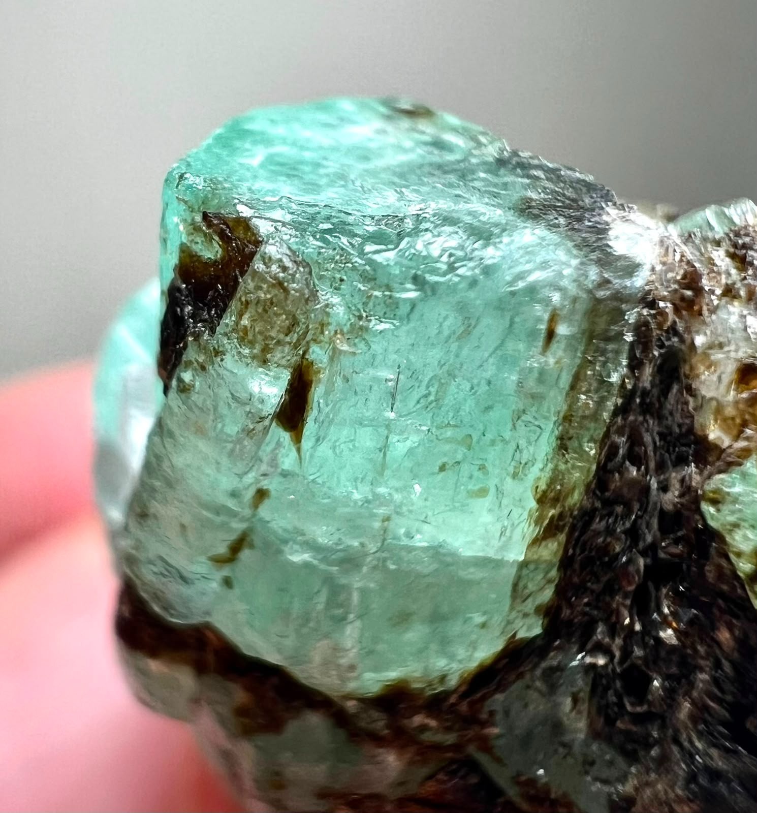 68CT, Beryl Var!Top Green Full Terminated Natural Emerald Crystals on Black Mica