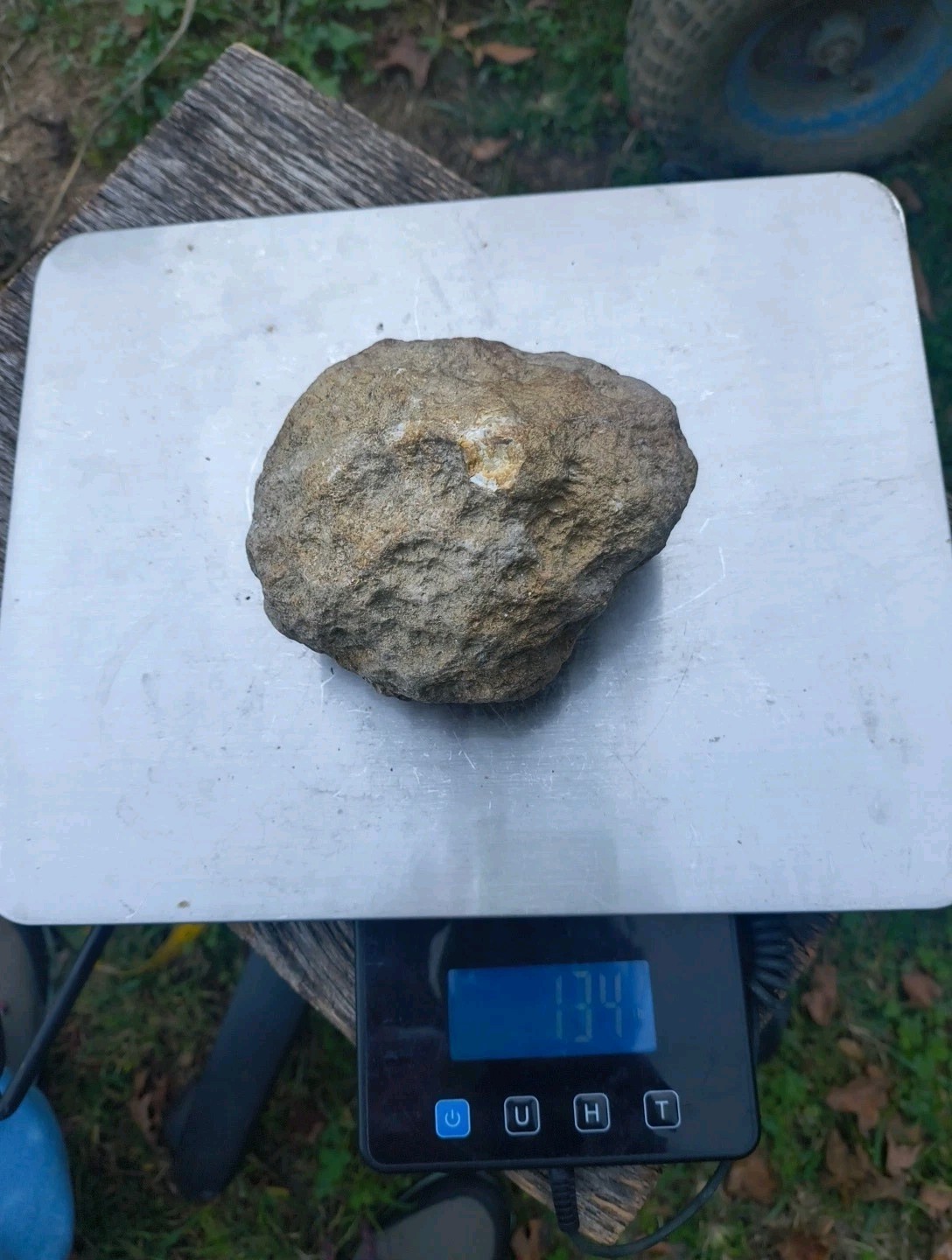 Large Kentucky Geode 3–5 inch – Crack Open Giant Quartz Crystal Rock – Authentic