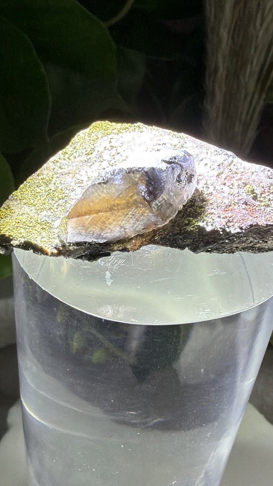 Crystal 30g Garden Quartz On Matrix With Chalcopyrite Specimen Mineral Raw