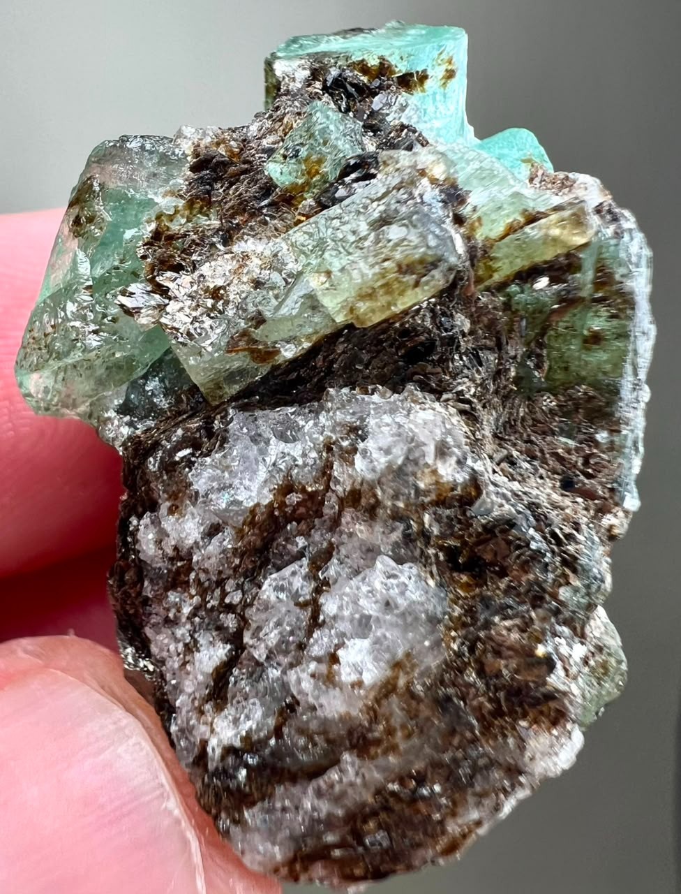 68CT, Beryl Var!Top Green Full Terminated Natural Emerald Crystals on Black Mica
