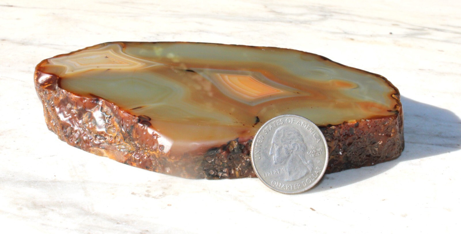 Natural 5” Geode Slice Amber Orange Brown Tones Agate 3/4” Thick-401 grams