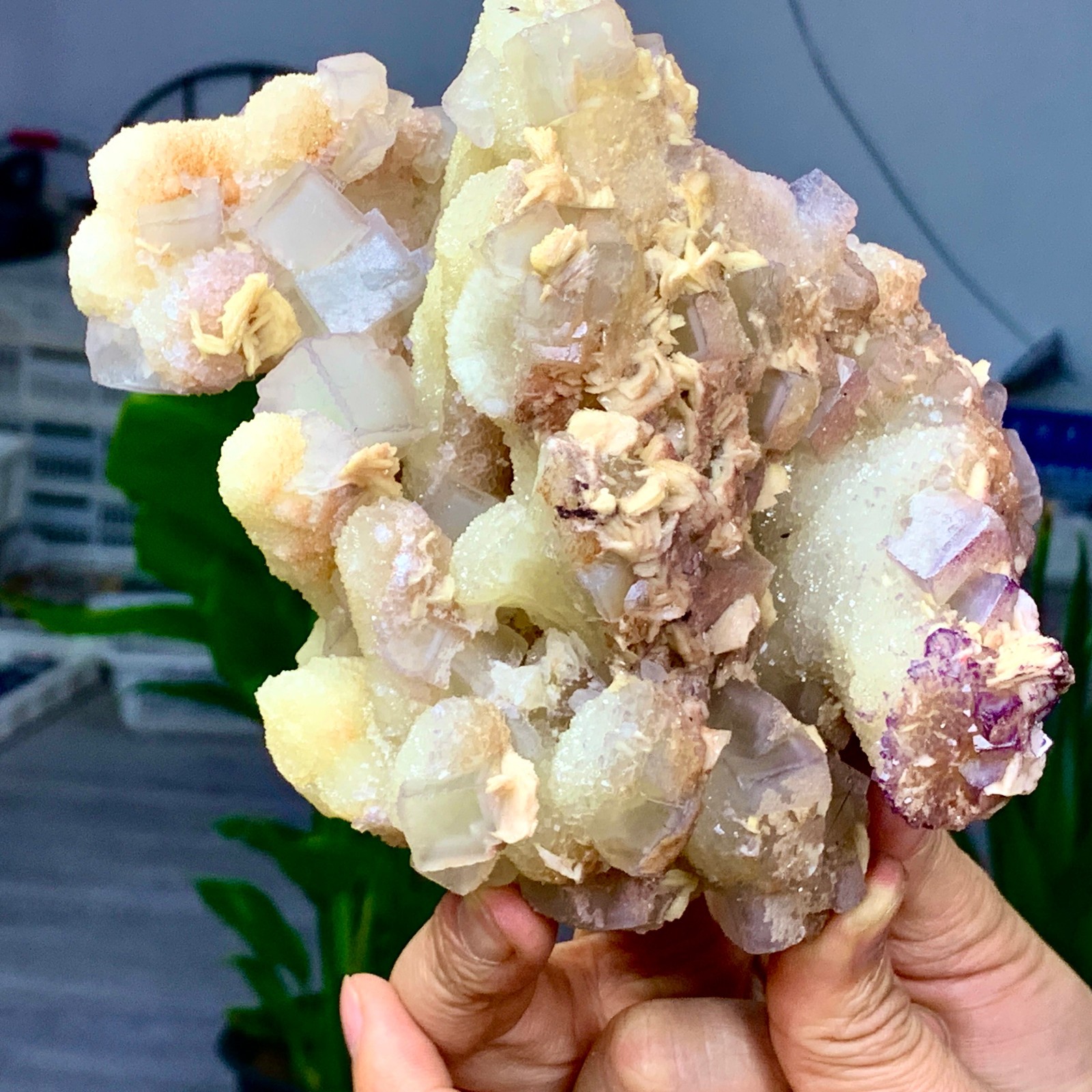 2.24LB Rare transparent purple green cubic fluorite mineral crystal sample/China