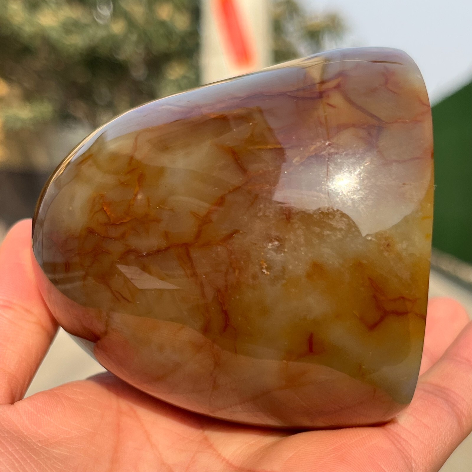 731g Rare Natural Carnelian Geode Agate Quartz Crystal Mineral Healing