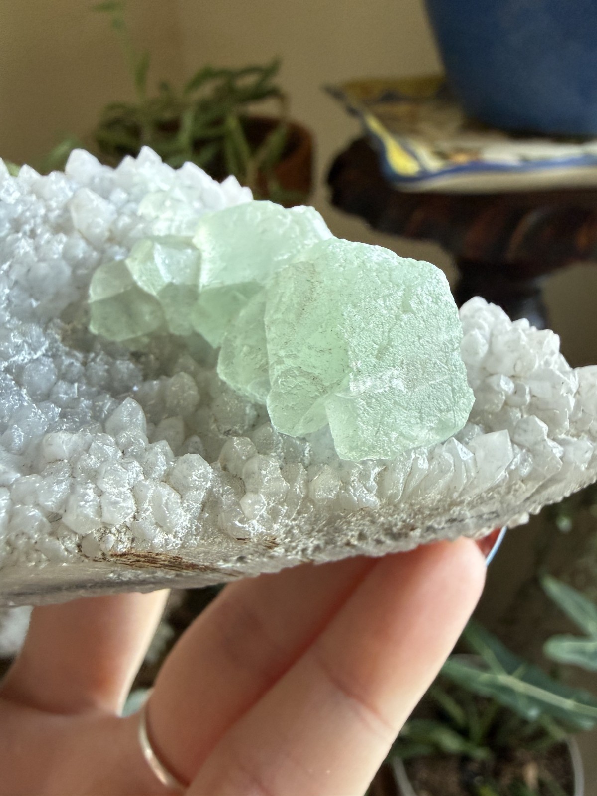 White Quartz Crystal Cluster with Green Fluorite – 7.05 oz