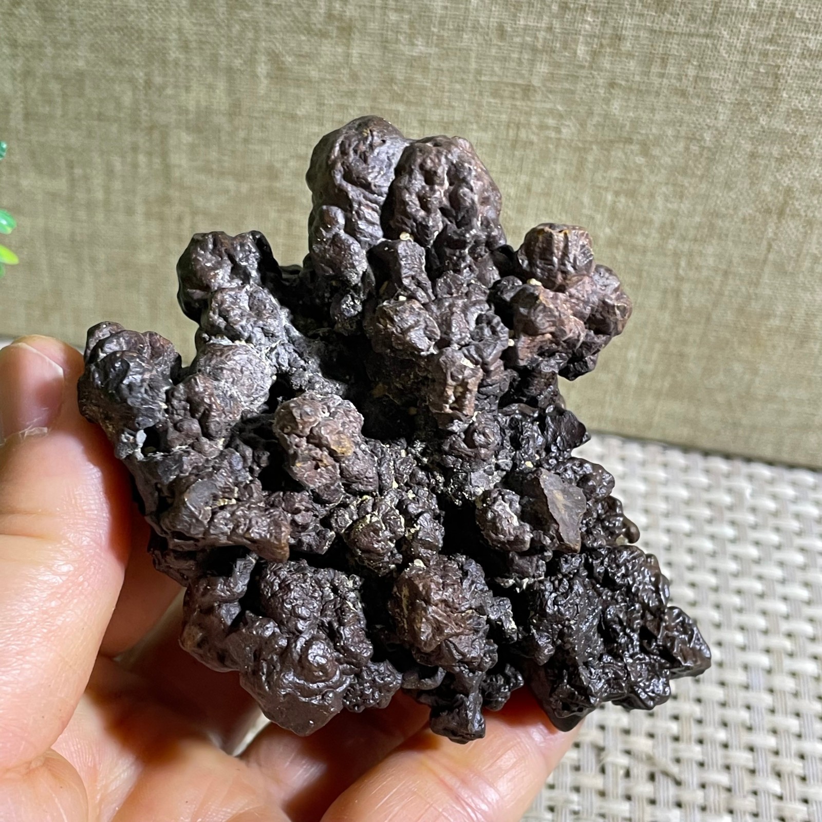 228g Limonite & Hematite pseudomorph after Marcasite Prophecy Rock Stone