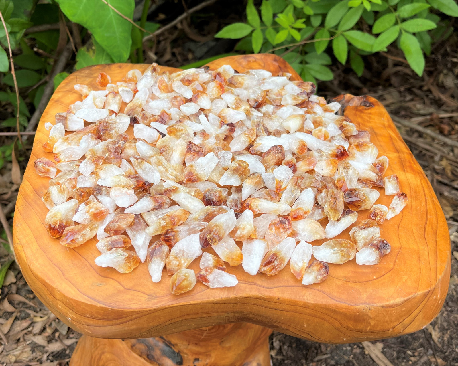 1/2 lb Bulk Citrine Points Crystal Collection in Box (‘A’ Grade Premium Citrine)