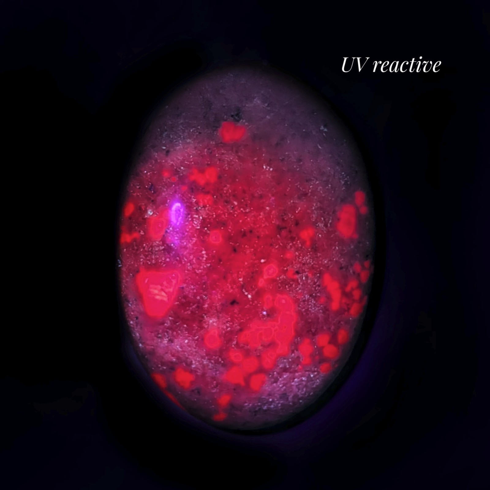 2.75″ saturated large ruby in kyanite crystal palm stone, UV reactive