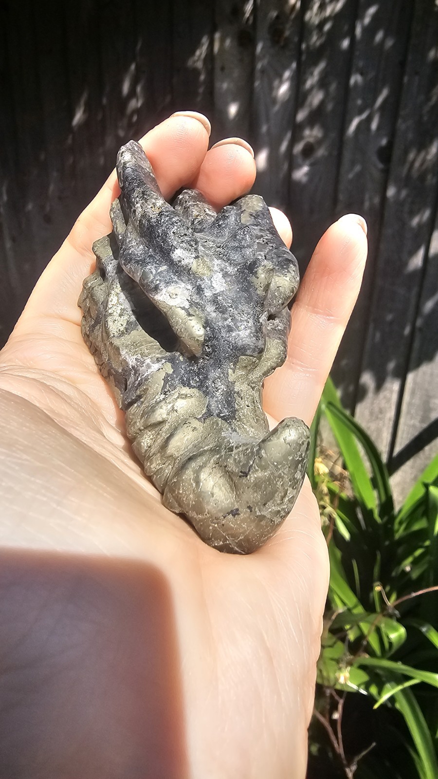 large Pyrite crystal Dragon head Carving 8.1 X 4.5cm 263g Abundance Wealth