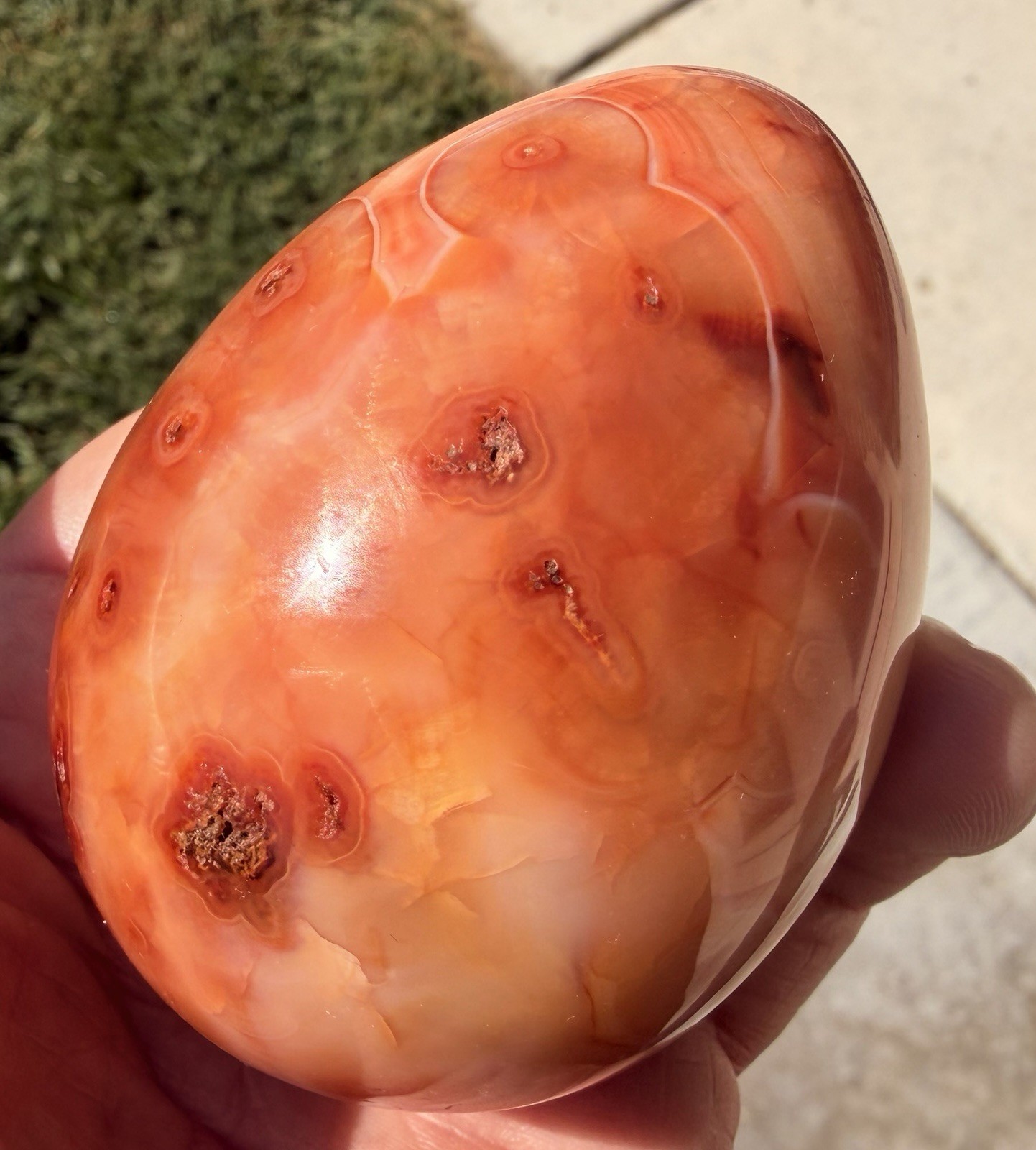 Large Natural Polished Carnelian Agate Egg Shape Display Specimen