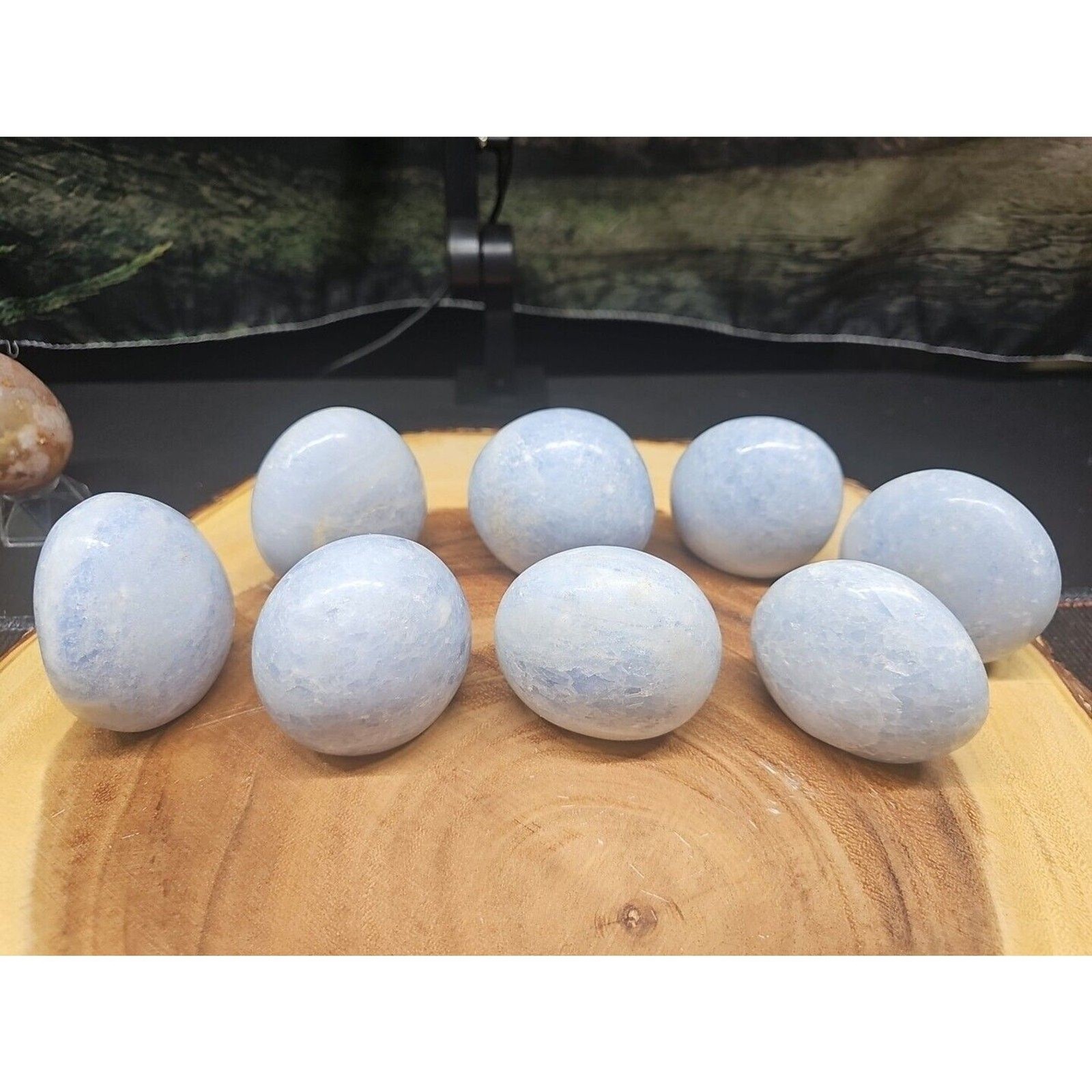 Baby Blue Celestite Crystal Palm – CrystalCloud Company