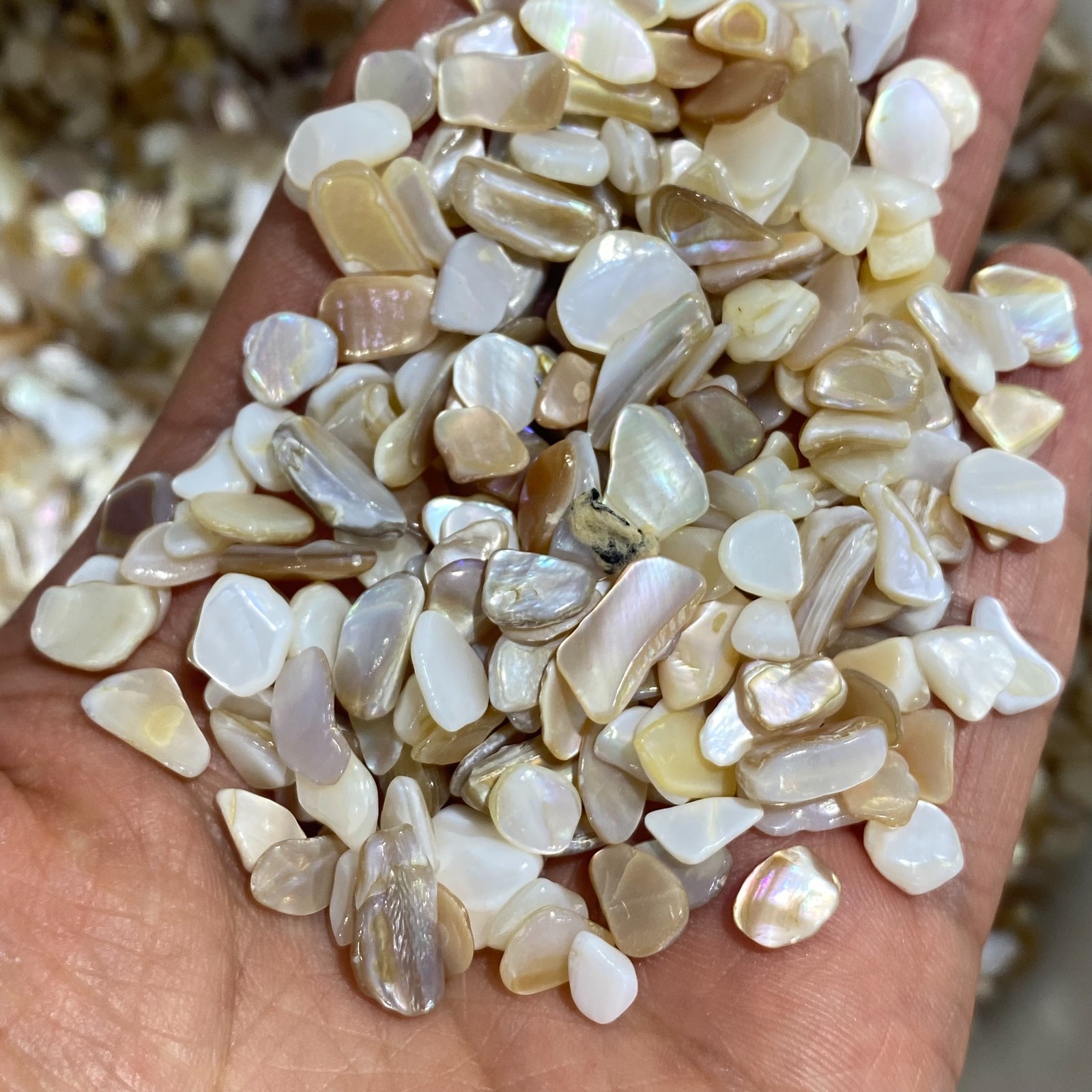 200g Natural White shell Pieces Chips Decorations Healing 5-7mm