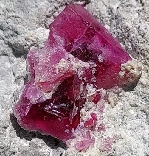 ULTRA GEM FACET GRADE SECTIONS LARGE RED BERYL / BIXBITE ON MATRIX UTAH, USA