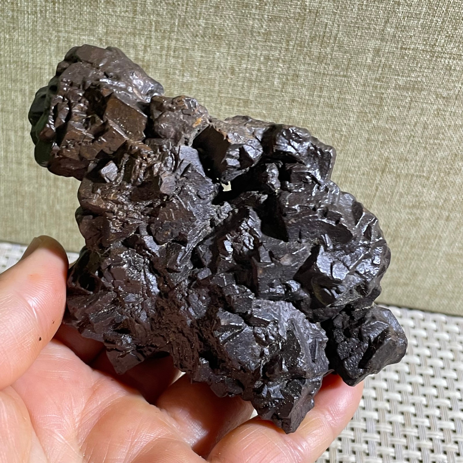 308g Limonite & Hematite pseudomorph after Marcasite Prophecy Rock Stone