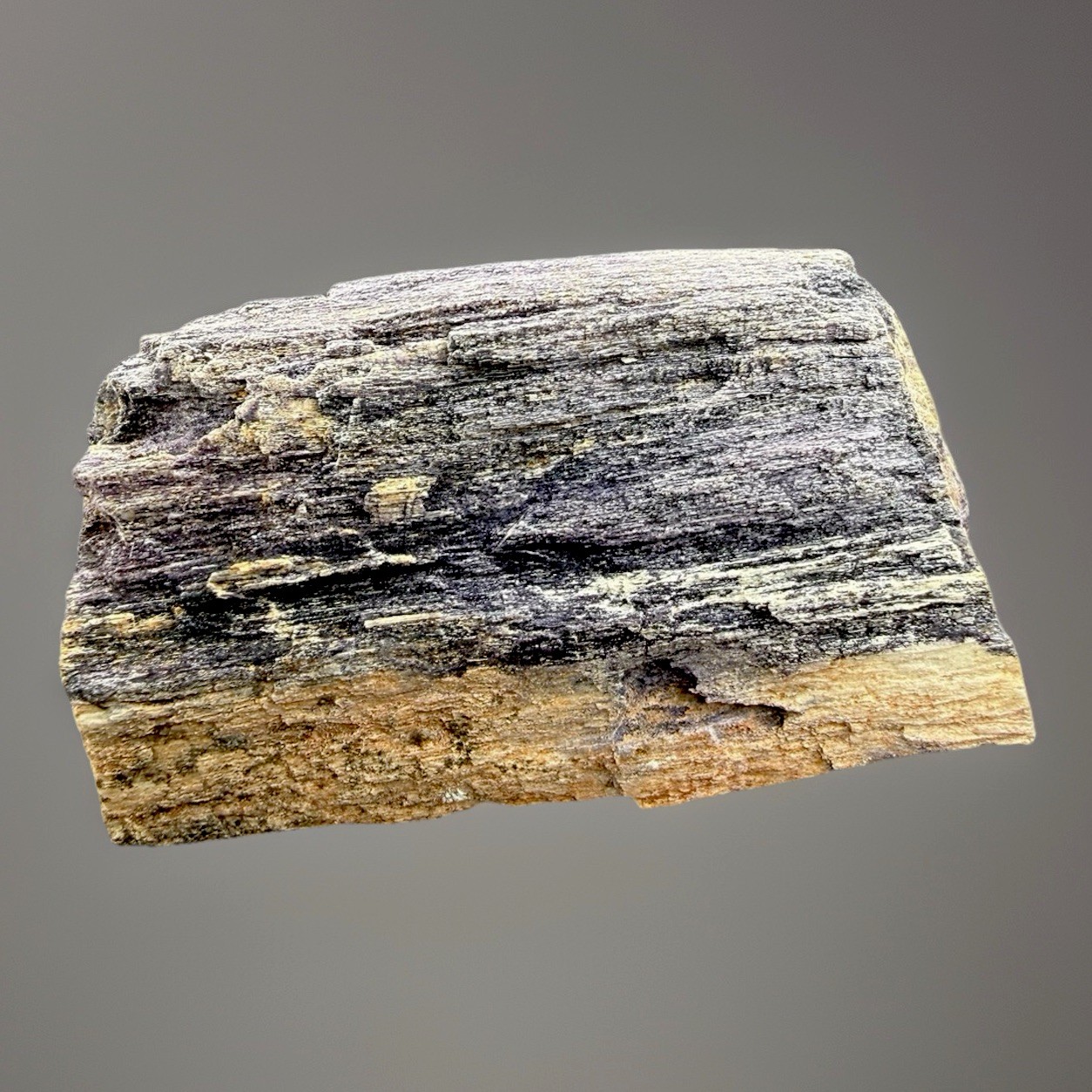 Fluorite Included Petrified Wood : Chemnitz Forest . Saxony , Germany 🇩🇪