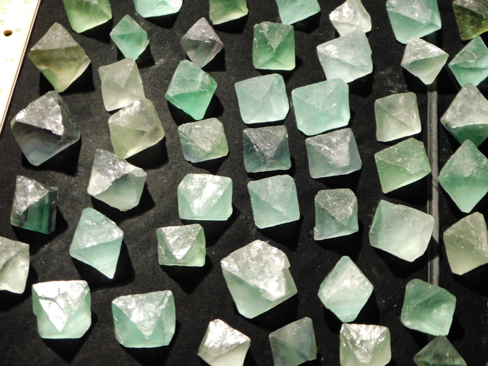 Over One Pound! or 500 Grams! Fluorescent FLUORITE Octahedron Crystals