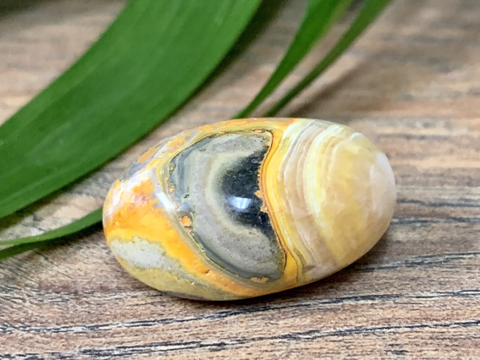 Bumble Bee Jasper Tumble Stone Gemstone Mineral Specimen Crystal Reiki Chakra.
