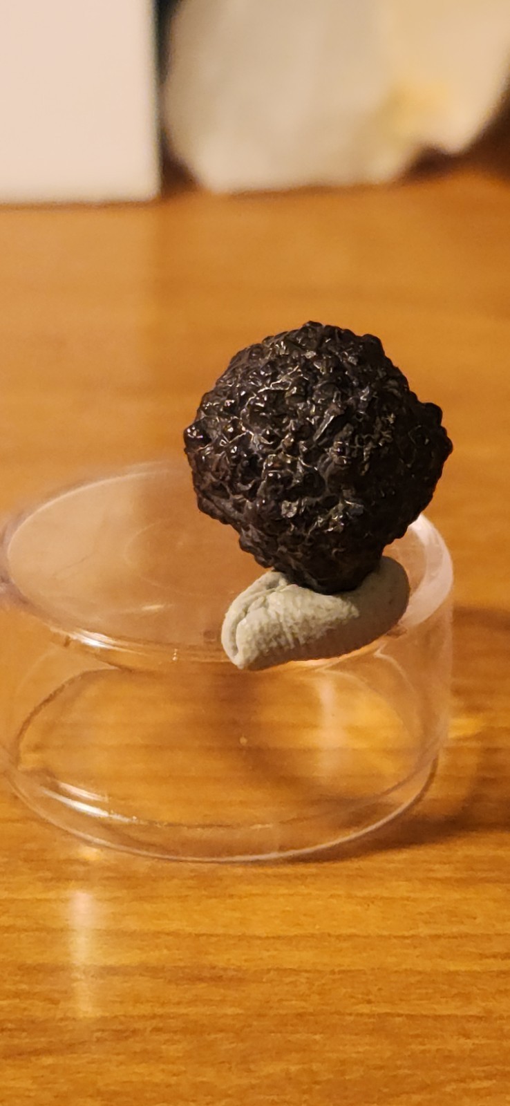 5 Gram Prophecy Stone