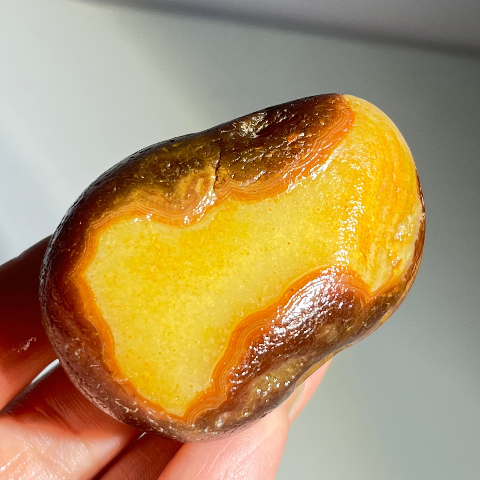 106g Bonsai Suiseki-Natural Gobi Agate Eyes Stone-Rare Stunning Viewing