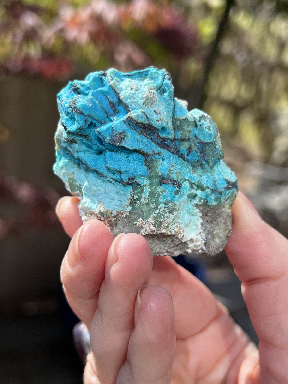 Chrysocolla Crystal Natural Unpolished Raw Specimen With Copper 2