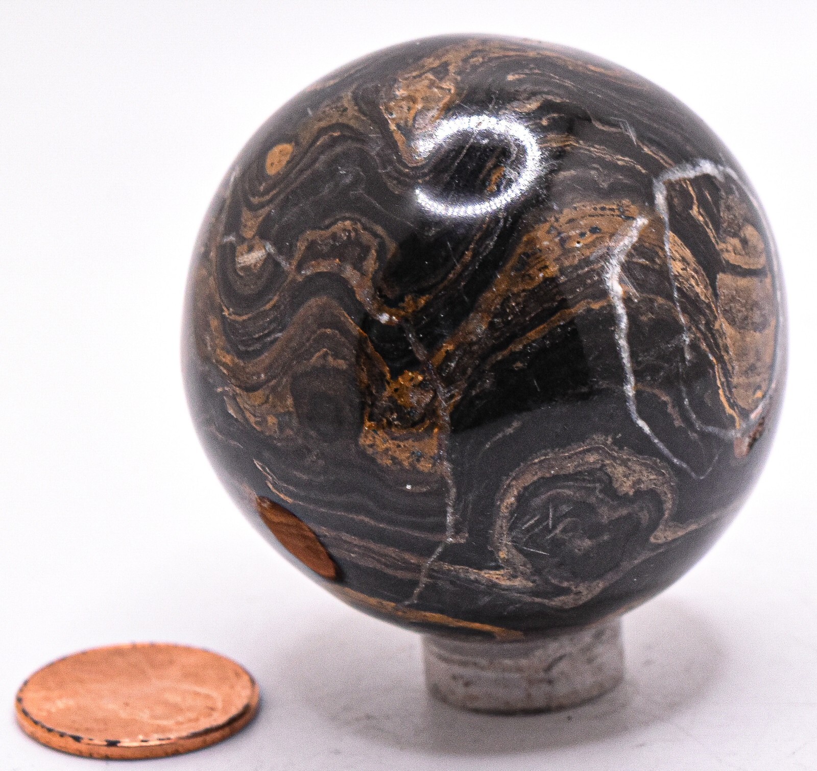 47mm Black Brown Stromatolite Sphere Polished Fossil Stone Mineral Ball – Peru