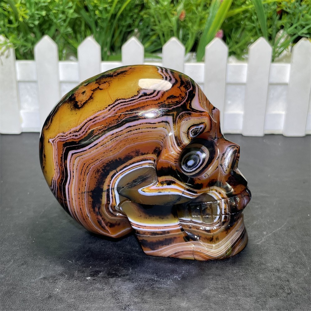 1.7LB 3.7″ A++Flower Sardonyx Agate Skull Crystal Quartz Mineral Decor Carved