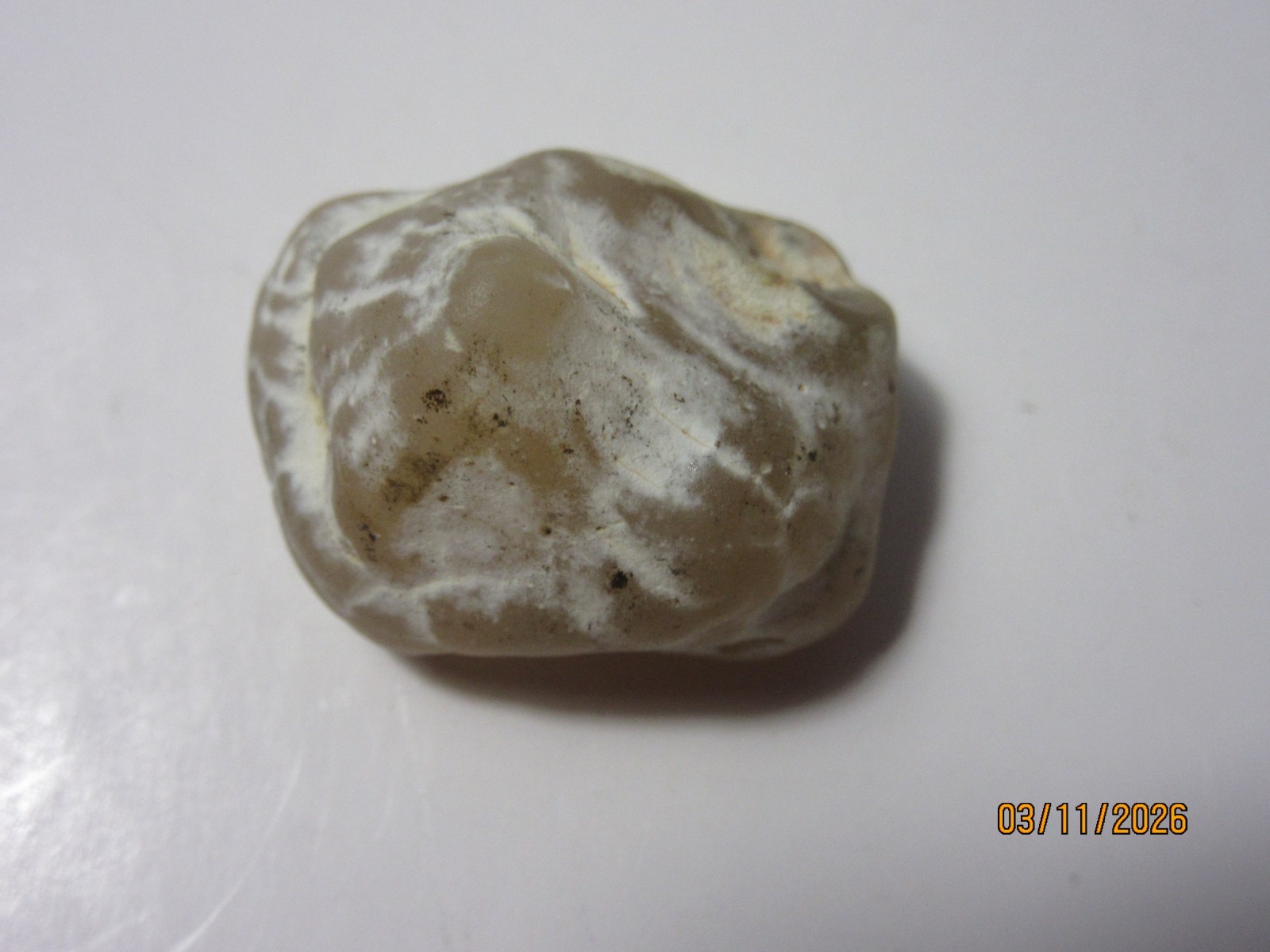 Snake Skin Agate 1 1/4 Inch Quartz Collectible SSAQC-1.25