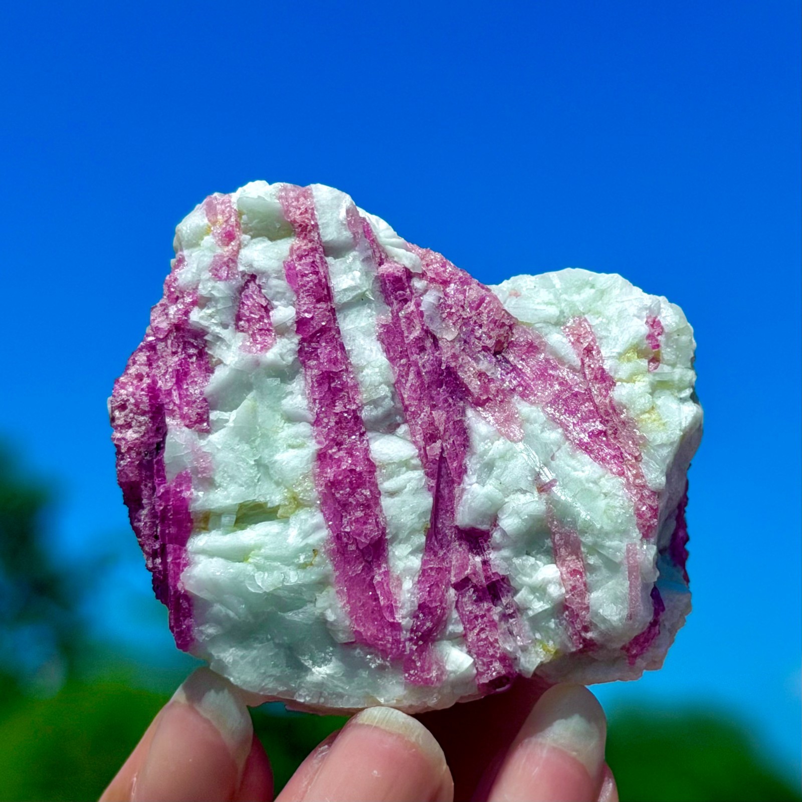 102G Natural Rubellite Tourmaline Quartz Crystal Cluster Mineral Specimen