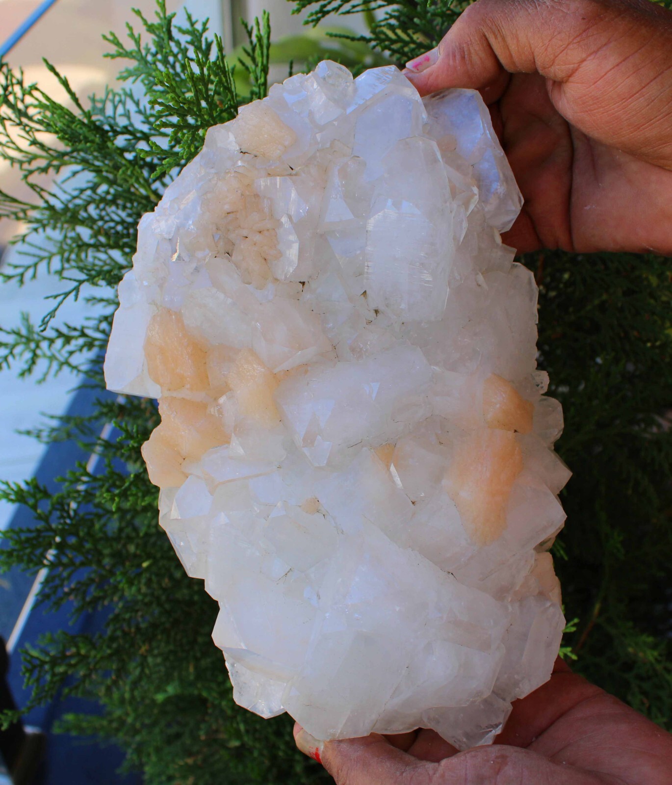 Apophyllite Crystals w/ Stilbite On Matrix Minerals Specimen (18X15 Cm’s)#M26