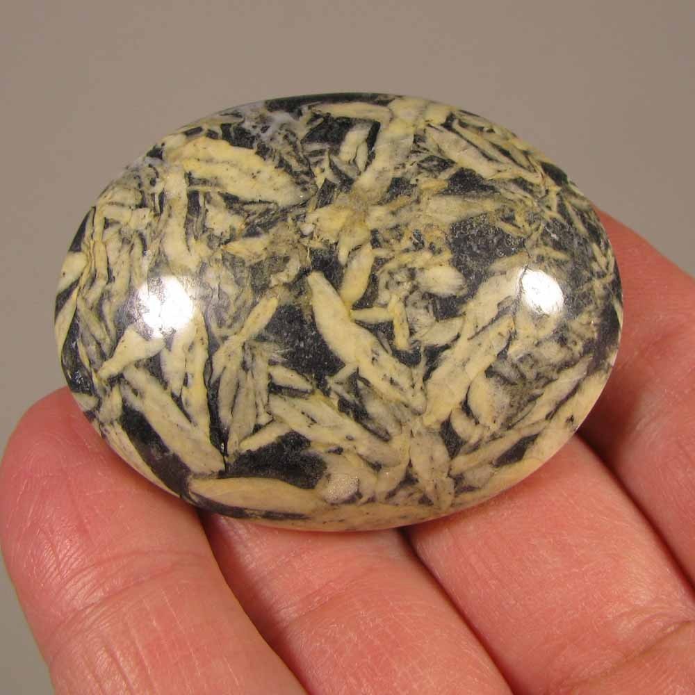 2″ PINOLITE Pinolith Polished Palm Stone – British Columbia, Canada