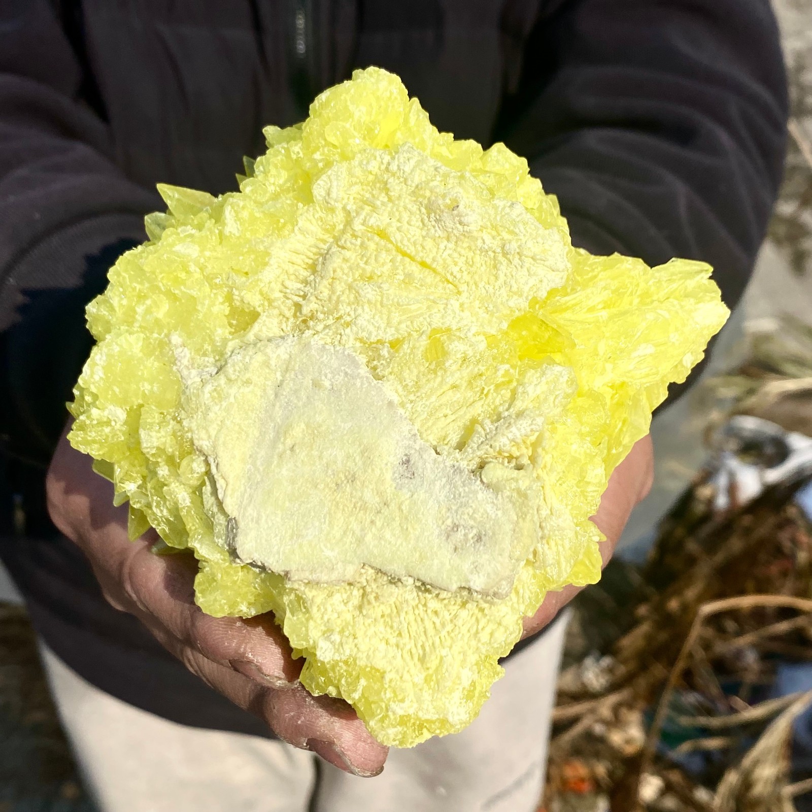 1.4LB Minerals ** LARGE NATIVE SULPHUR OnMATRIX Sicily- FREE.