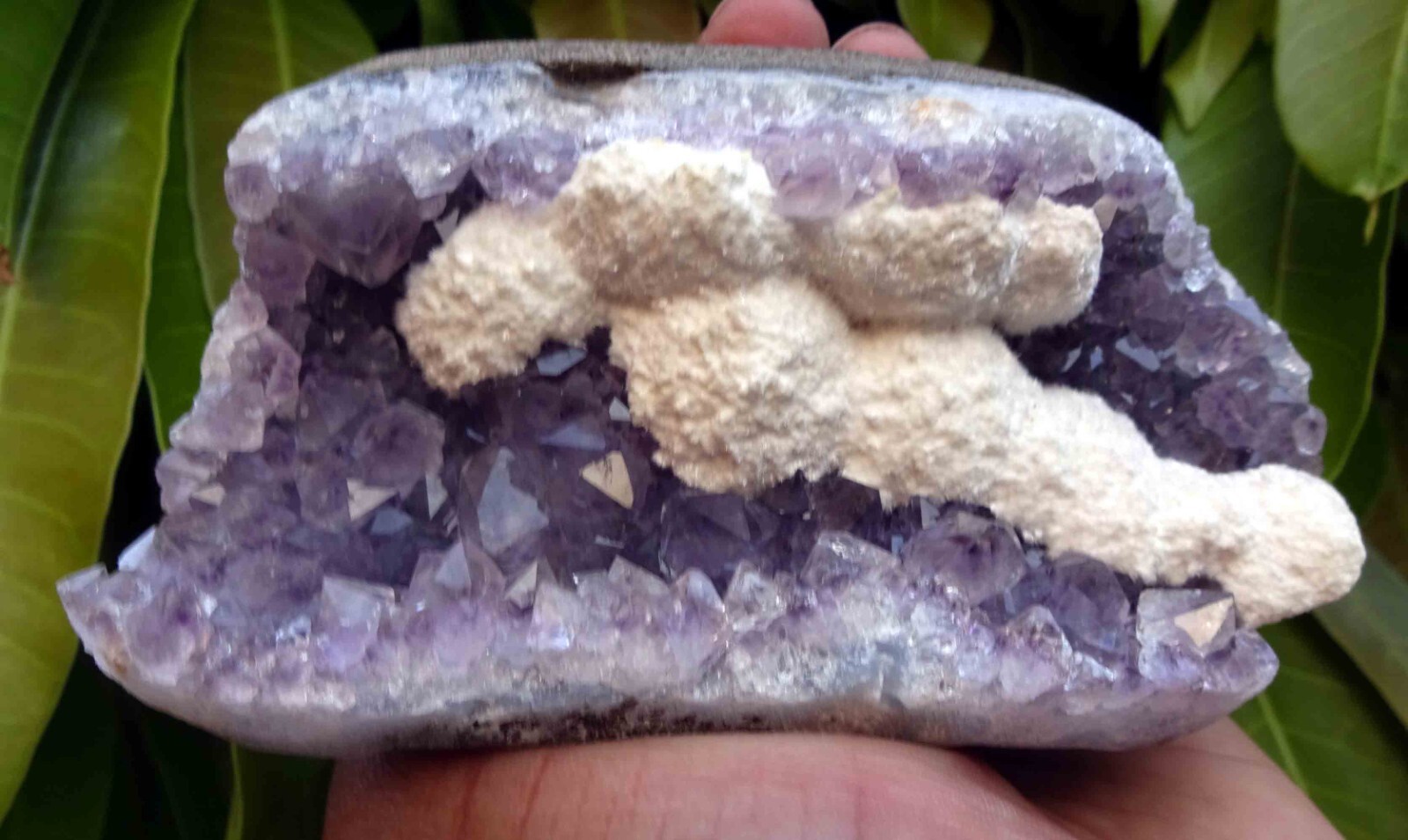 STUNNING OKENITE CLUSTERS ON AMETHYST BASE # 384