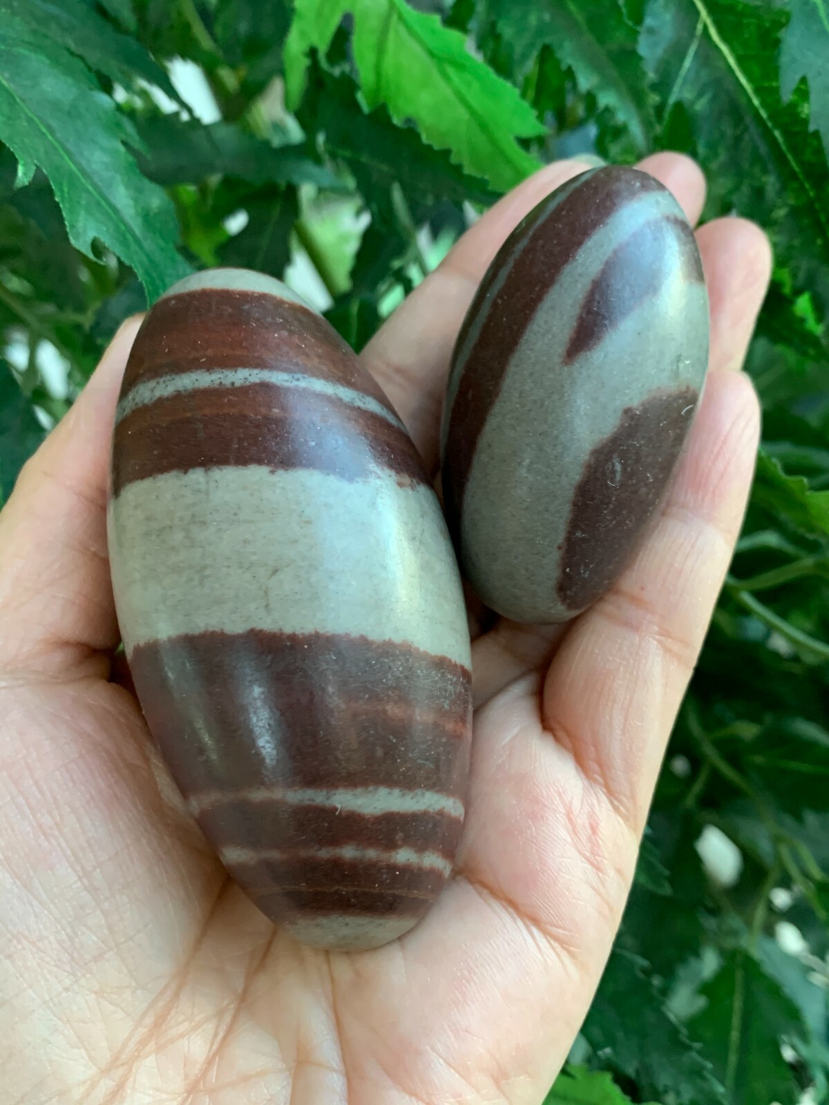 2″ 3″ 4″& 6″ Shiva Lingam Stone,Shiva Lingam Sacred Stone,Palm Stone,Pick A Size