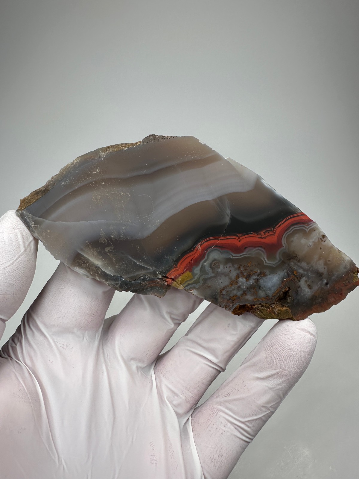 Beautiful Large Kentucky Agate Lapidary Slab from Estill County