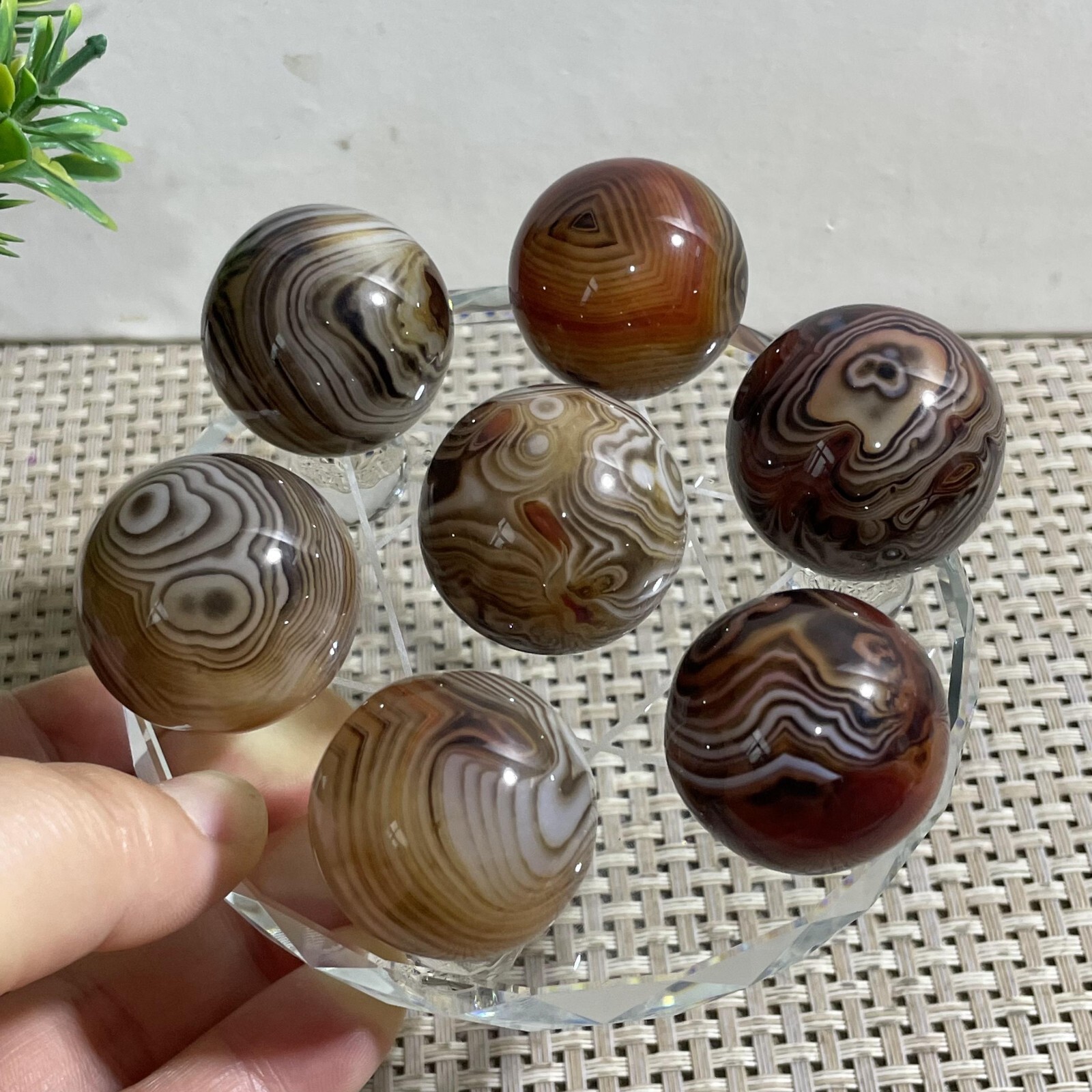 7pc 231g Crazy Lace SILK Banded Agate Polish Crystal Tumbled Stone Madagascar