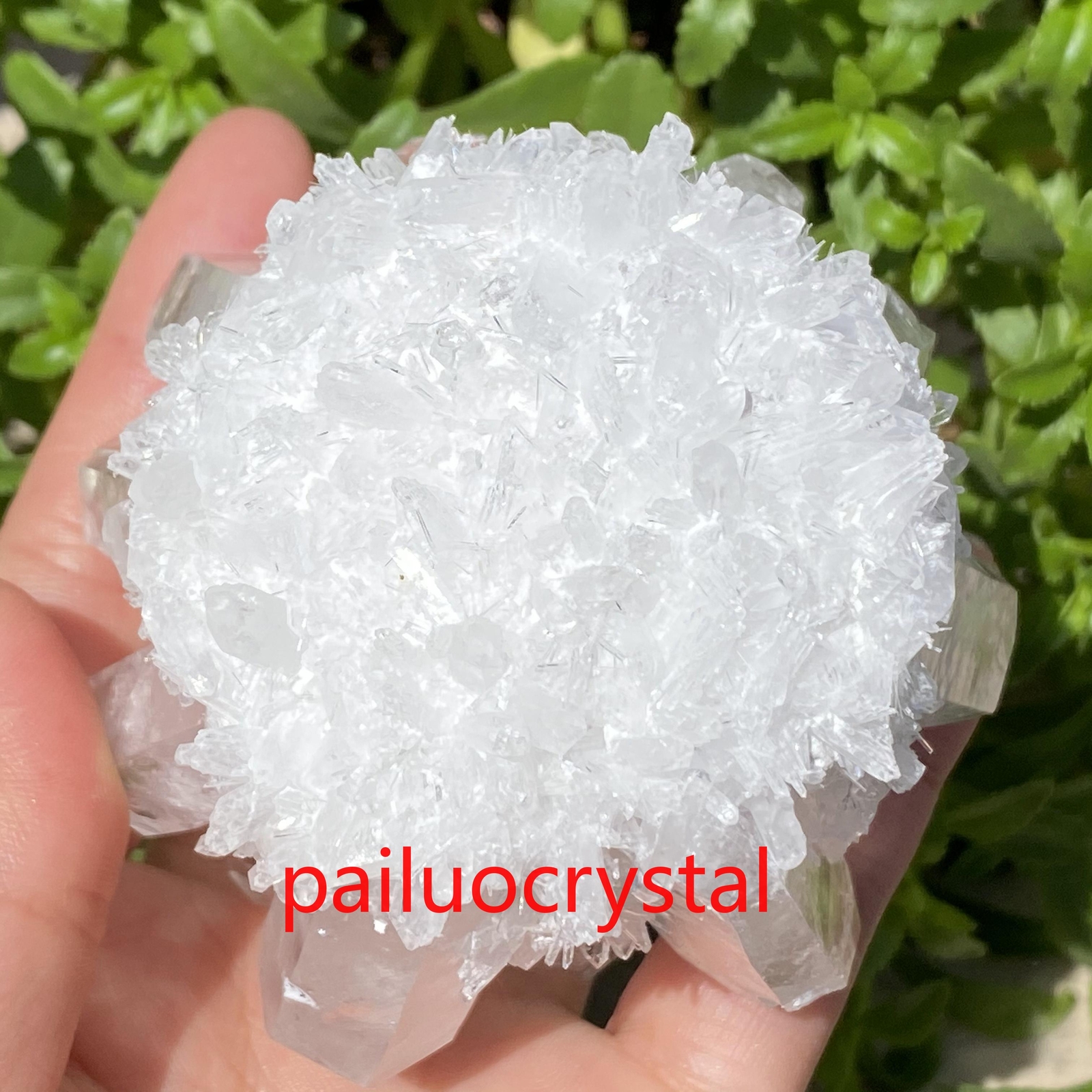 300g+ Natural Clear Quartz Cluster Crystal Cluster Specimens Gem Random delivery