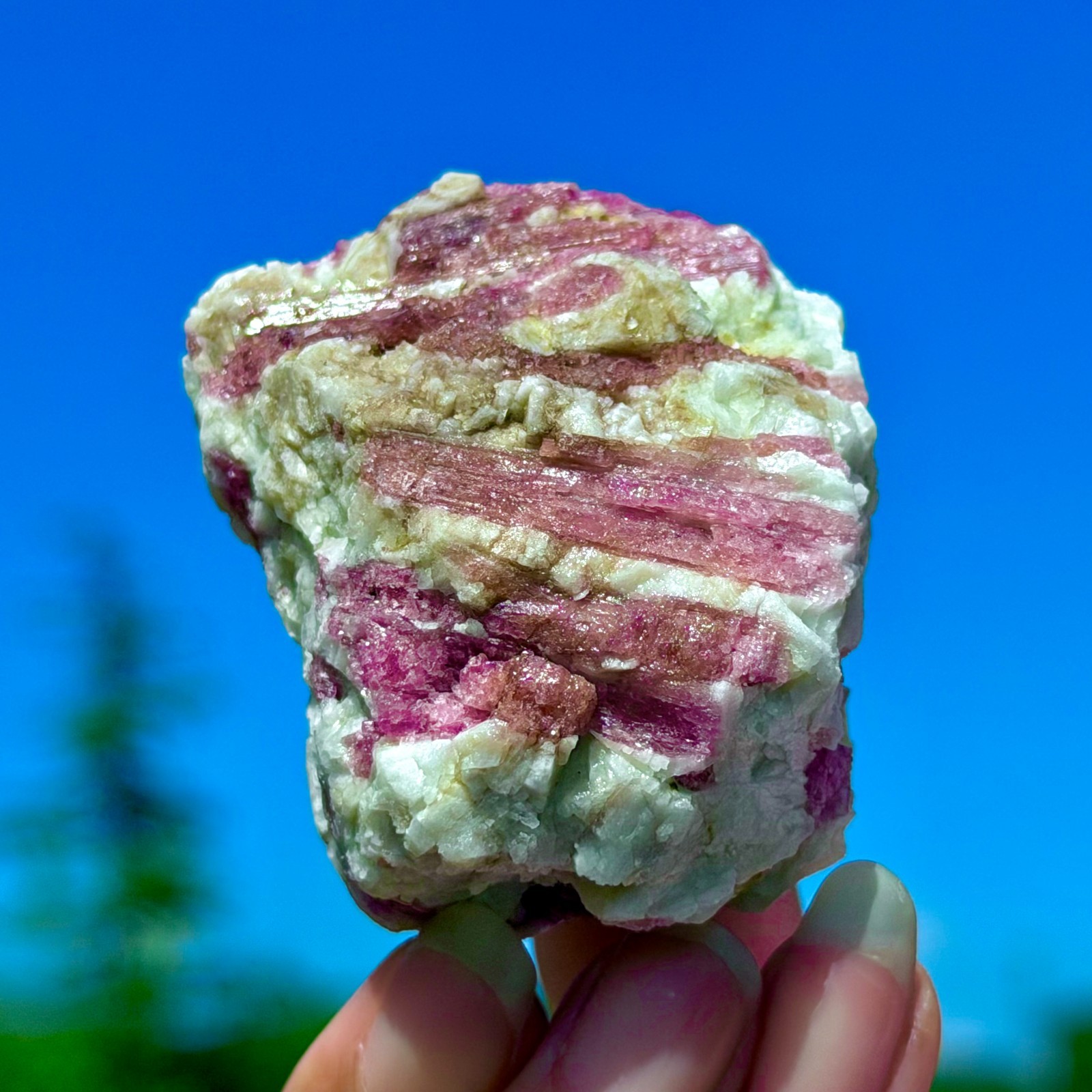 102G Natural Rubellite Tourmaline Quartz Crystal Cluster Mineral Specimen
