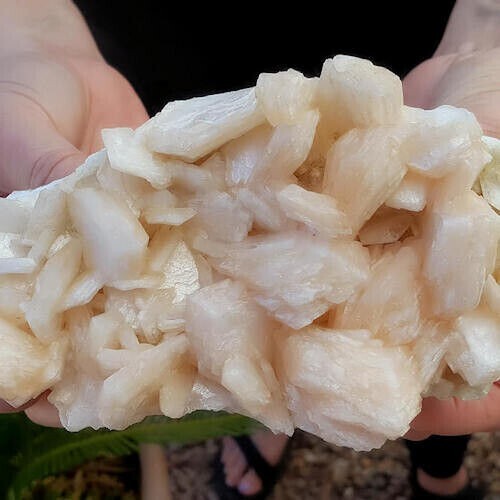 445g Big Spectacular 6 3/4 Inch World Class Stilbite Crystal Cluster – India