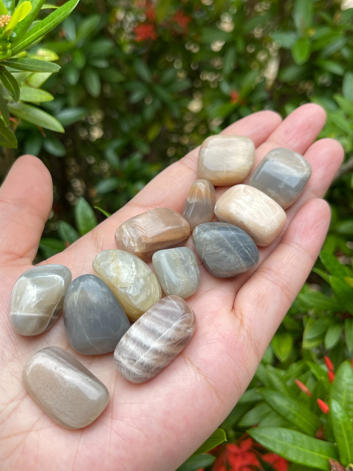 Grade A++ Moonstone Multi Tumbled Stone,0.5-1.25″ Tumbled Multicolored Moonstone