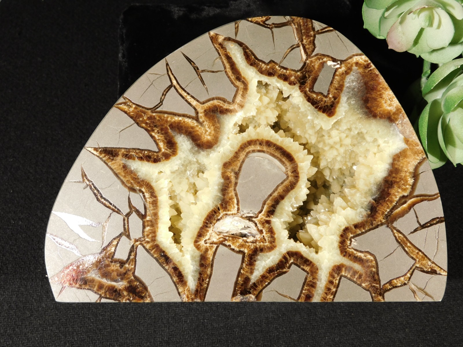 Larger! Polished AAA Crystal Filled Septarian GEODE FREE Standing Utah 852gr