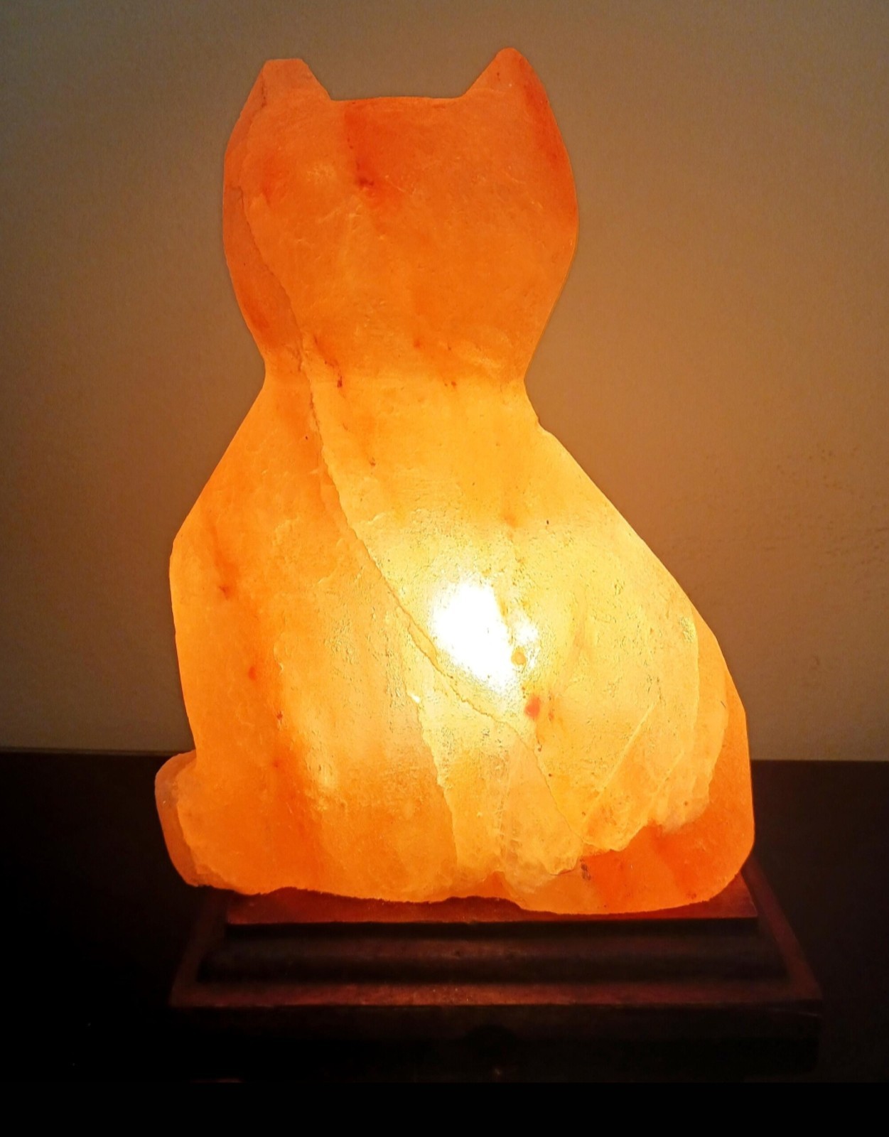 XL Himalayan Salt Lamp Cat Carving Large Salt Light Natural Salt Stone 7lbs