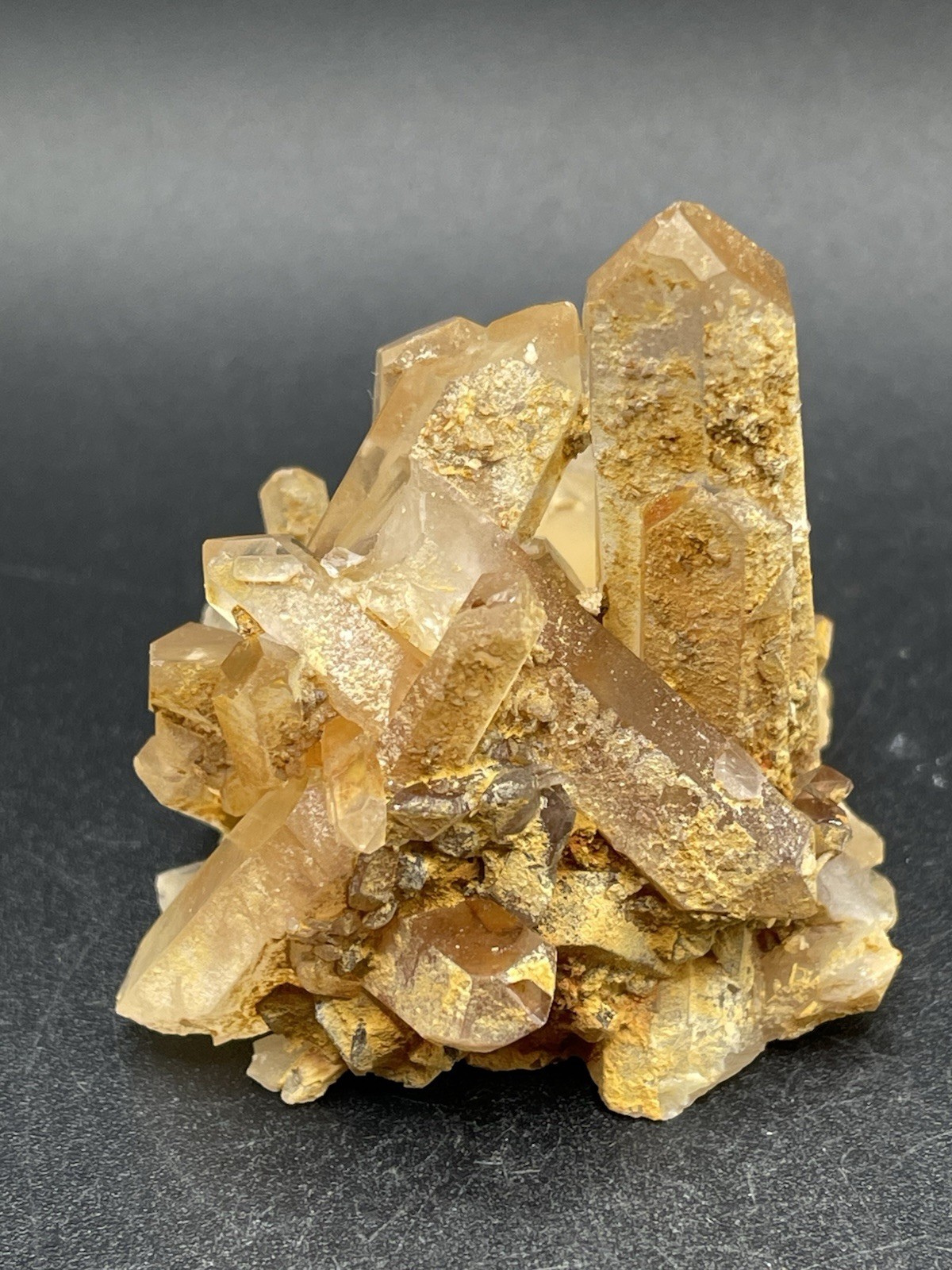 Golden Healer Cluster 73g