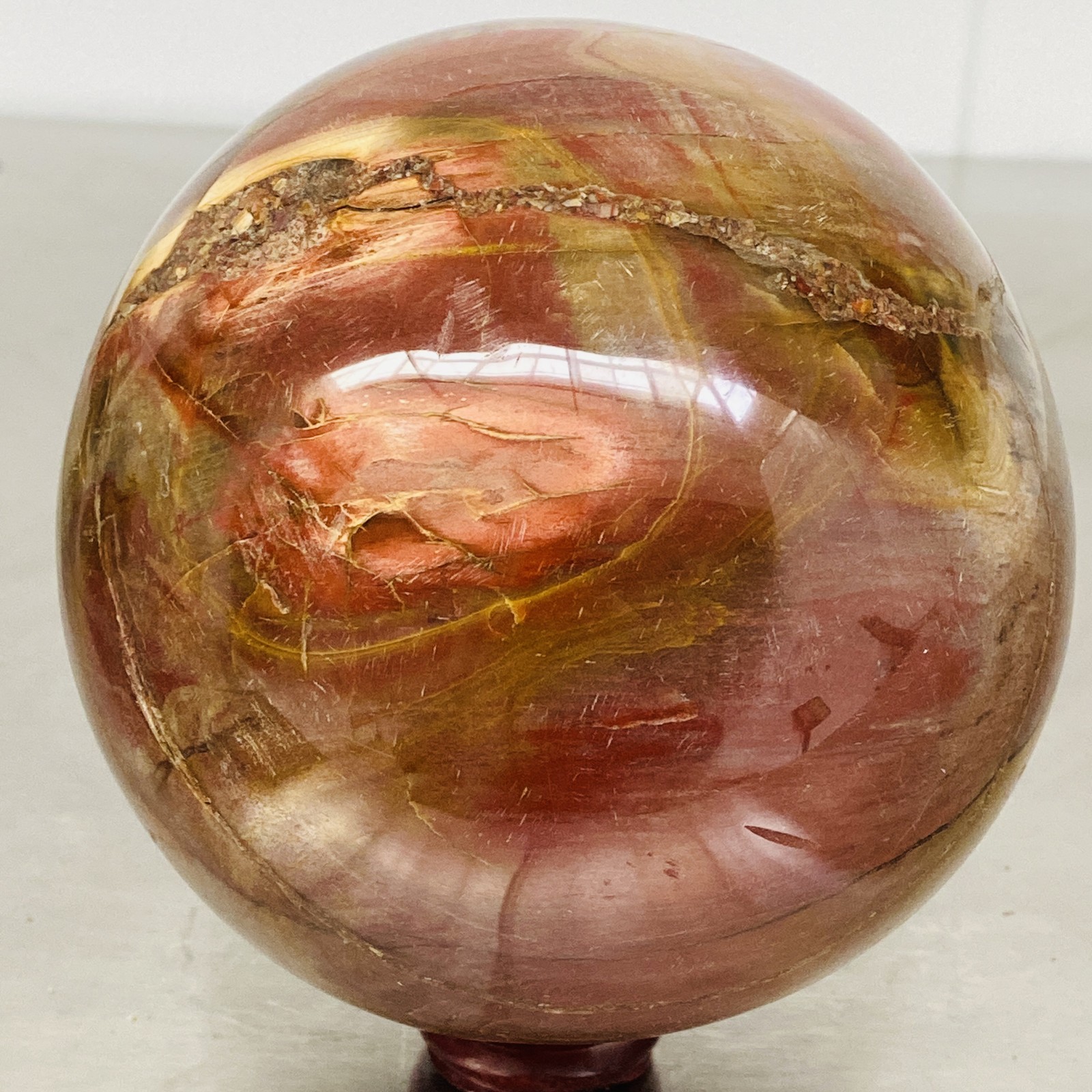 Natural Petrified Wood Polished Stone Quartz Crystal Sphere Ball Healing 2480G