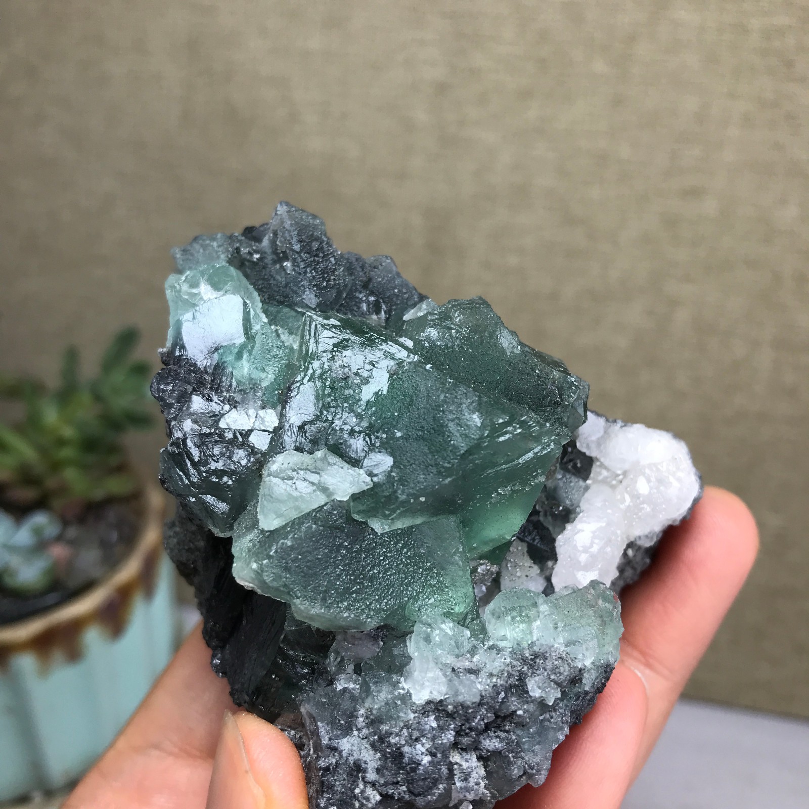 215g NATURAL Green Cubic FLUORITE paragenesis Crystal Cluster Specimen A4777